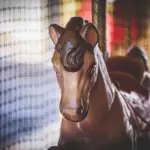 Er der nogen sikkerhedsforanstaltninger, jeg skal være opmærksom på, når jeg bruger en gyngehest?